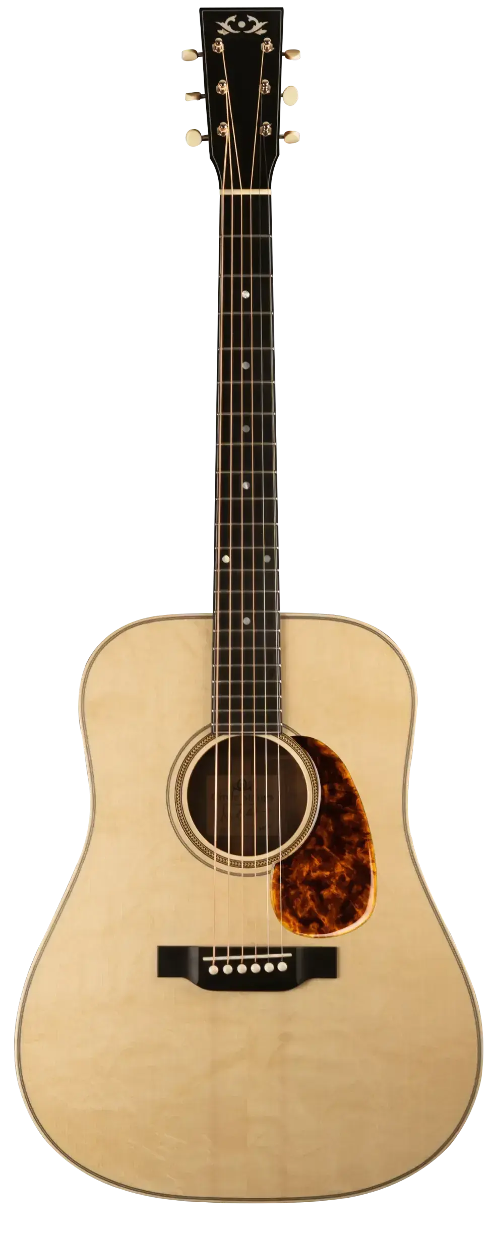 Circle strings guitar no background