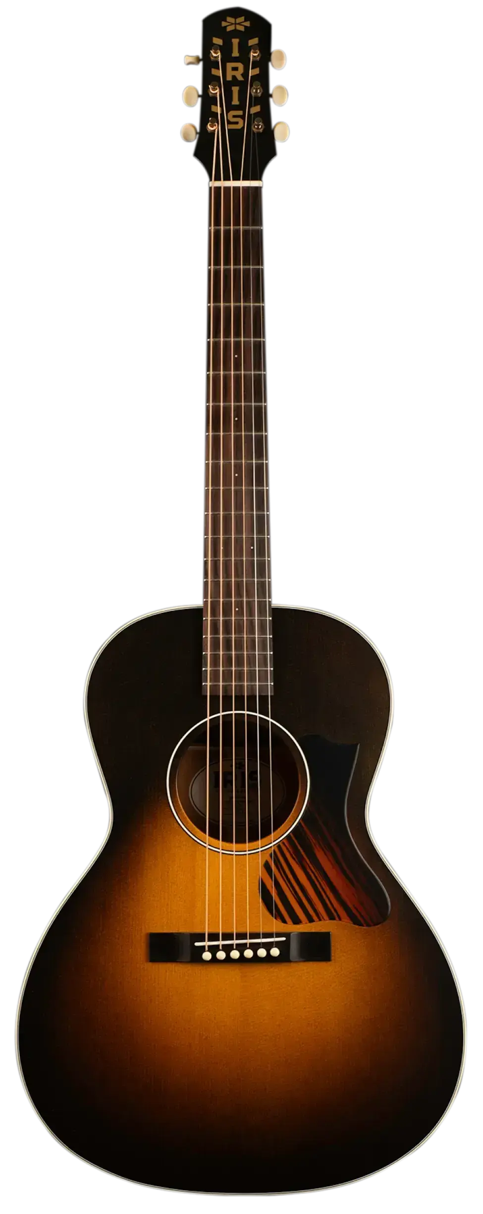 Iris guitar no background